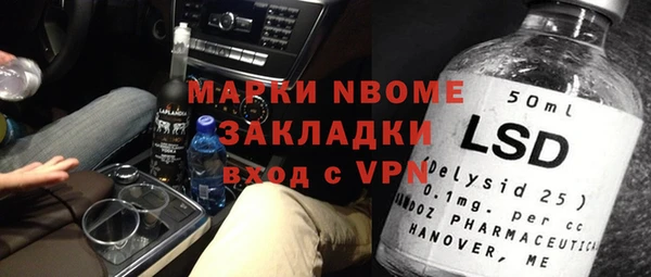 стаф Аркадак