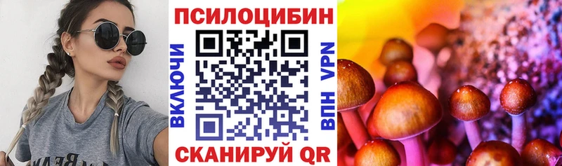 купить закладку  Нея  мега ТОР  Псилоцибиновые грибы Cubensis 